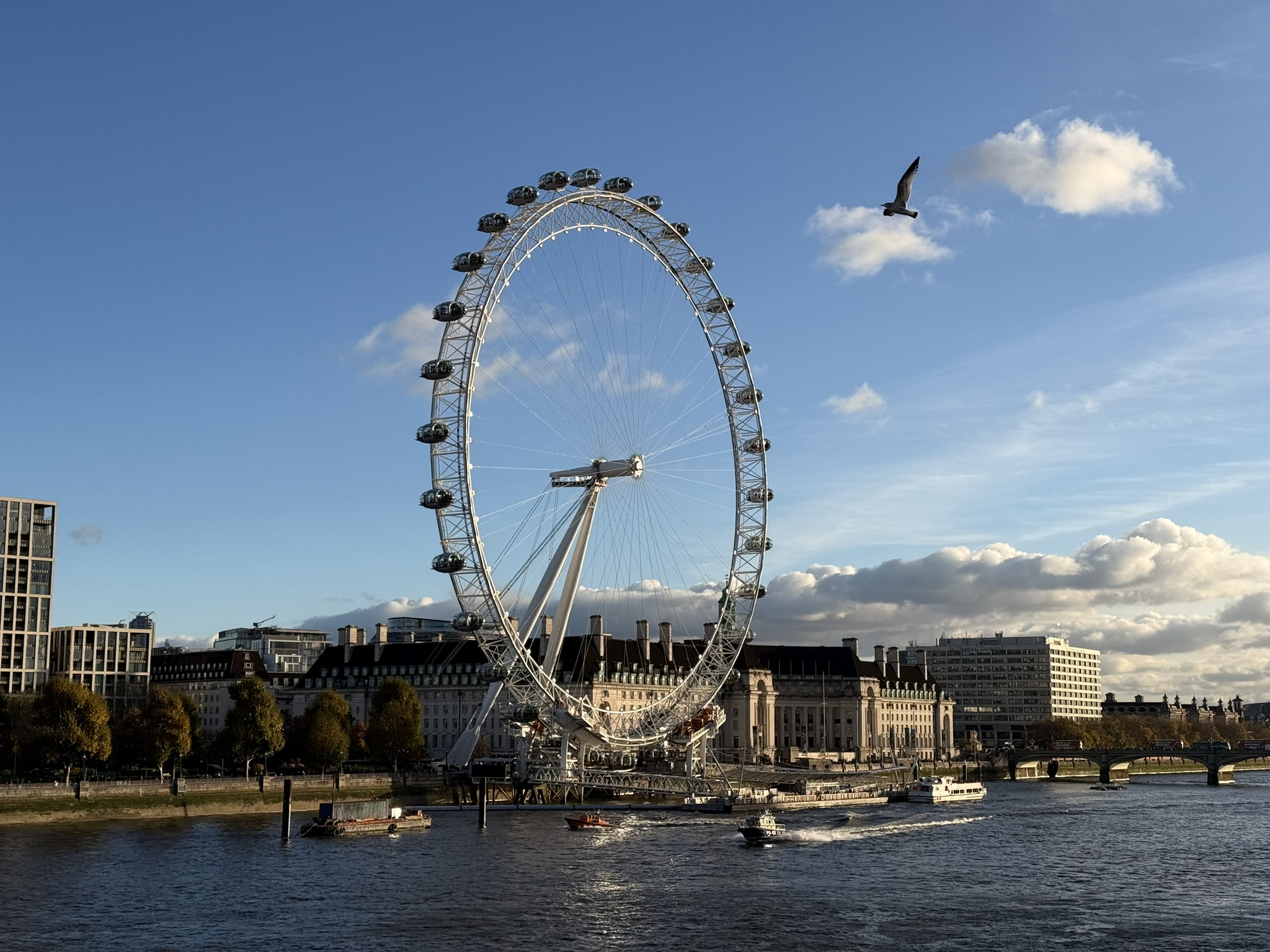 Das London Eye inklusive Vogel, aufgenommen mit dem iPhone.