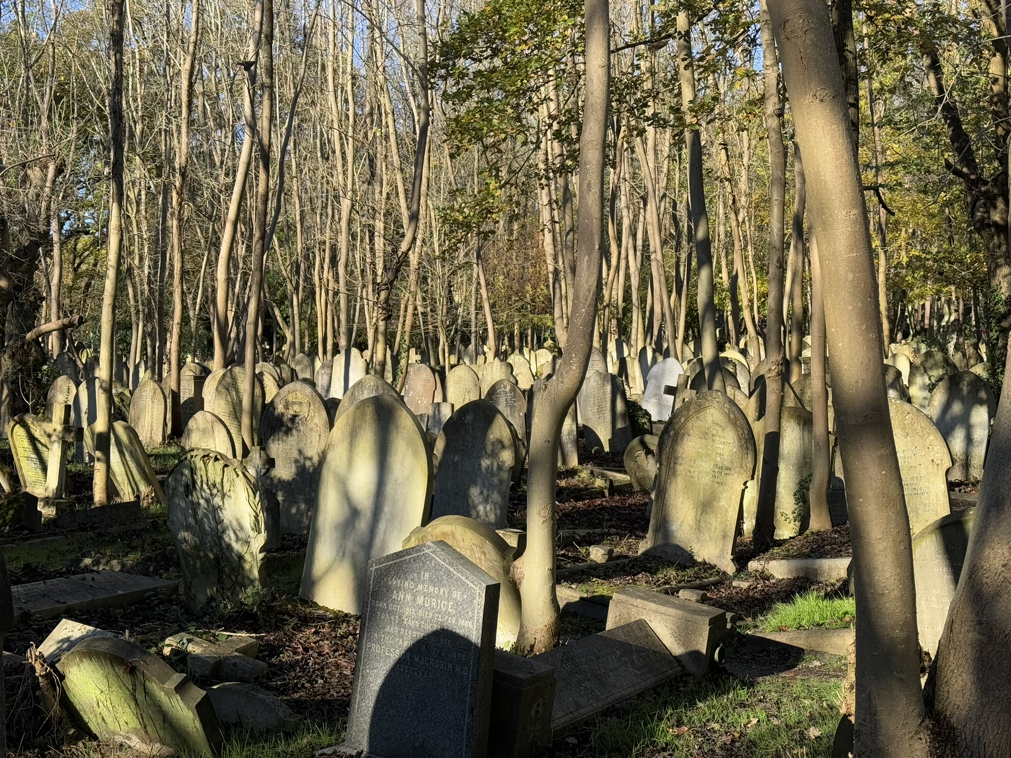 Der Highgate Cemetery in London, aufgenommen mit dem iPhone.