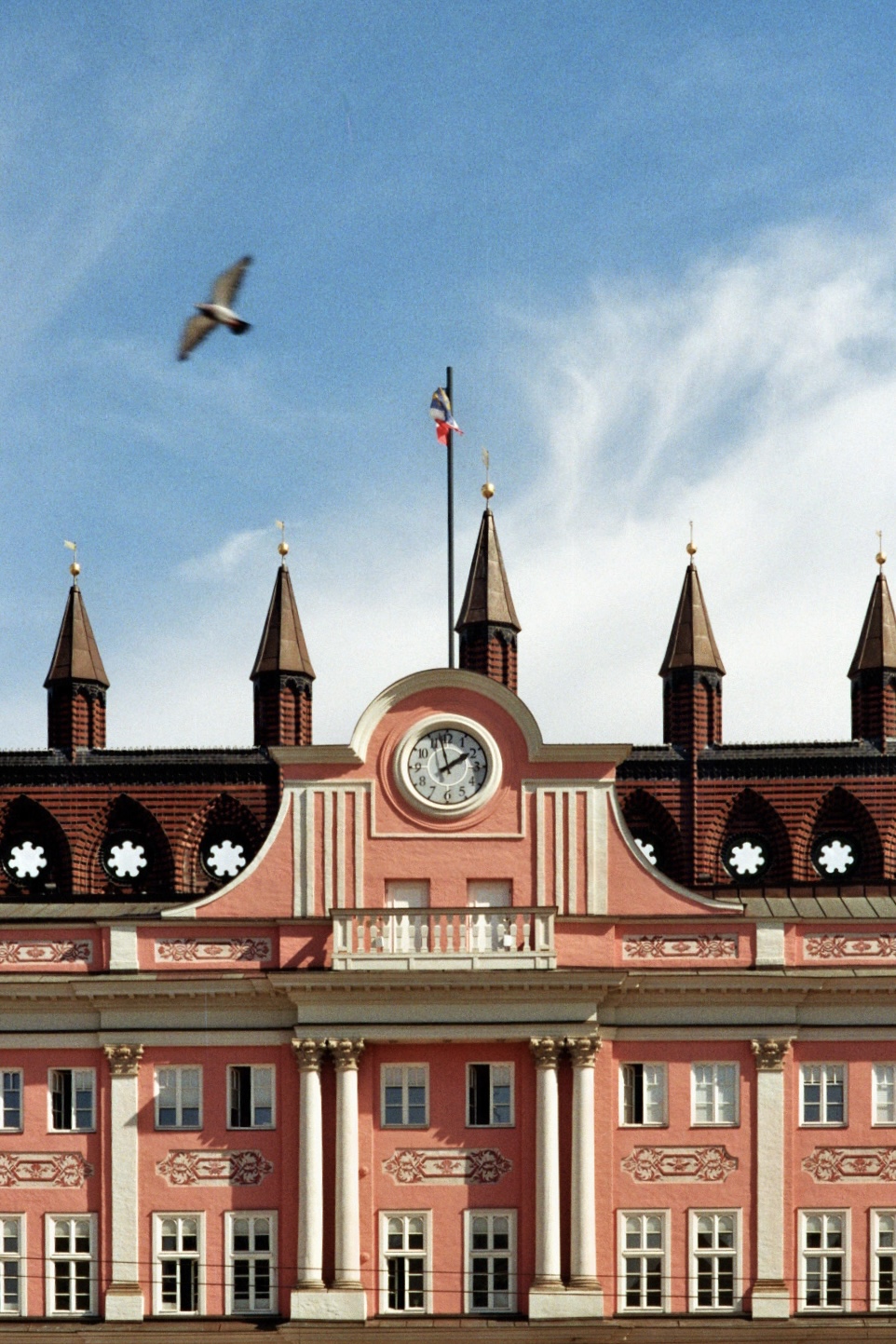 Das Rostocker Rathaus, aufgenommen mit meiner analogen Kamera. Die Möwe war ein glücklicher Zufall.